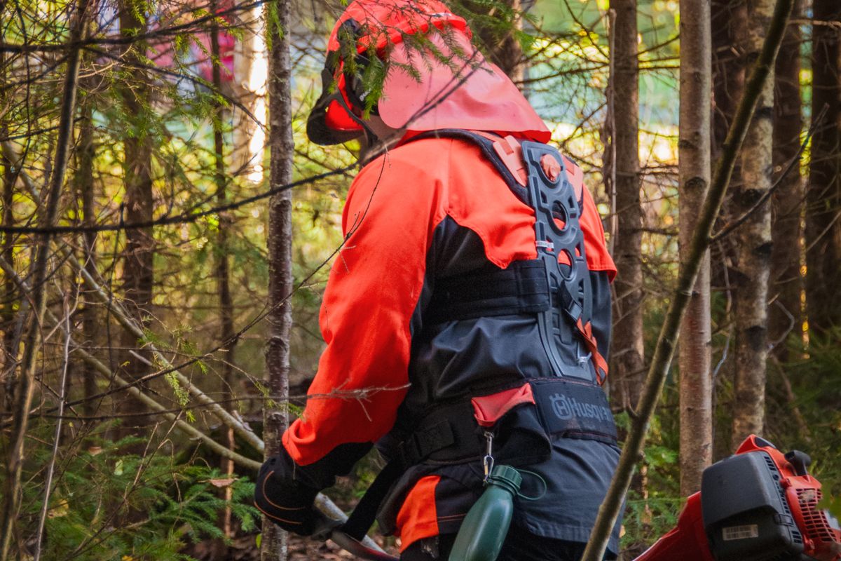 Operatore che decespuglia sottobosco — fascia antincendio