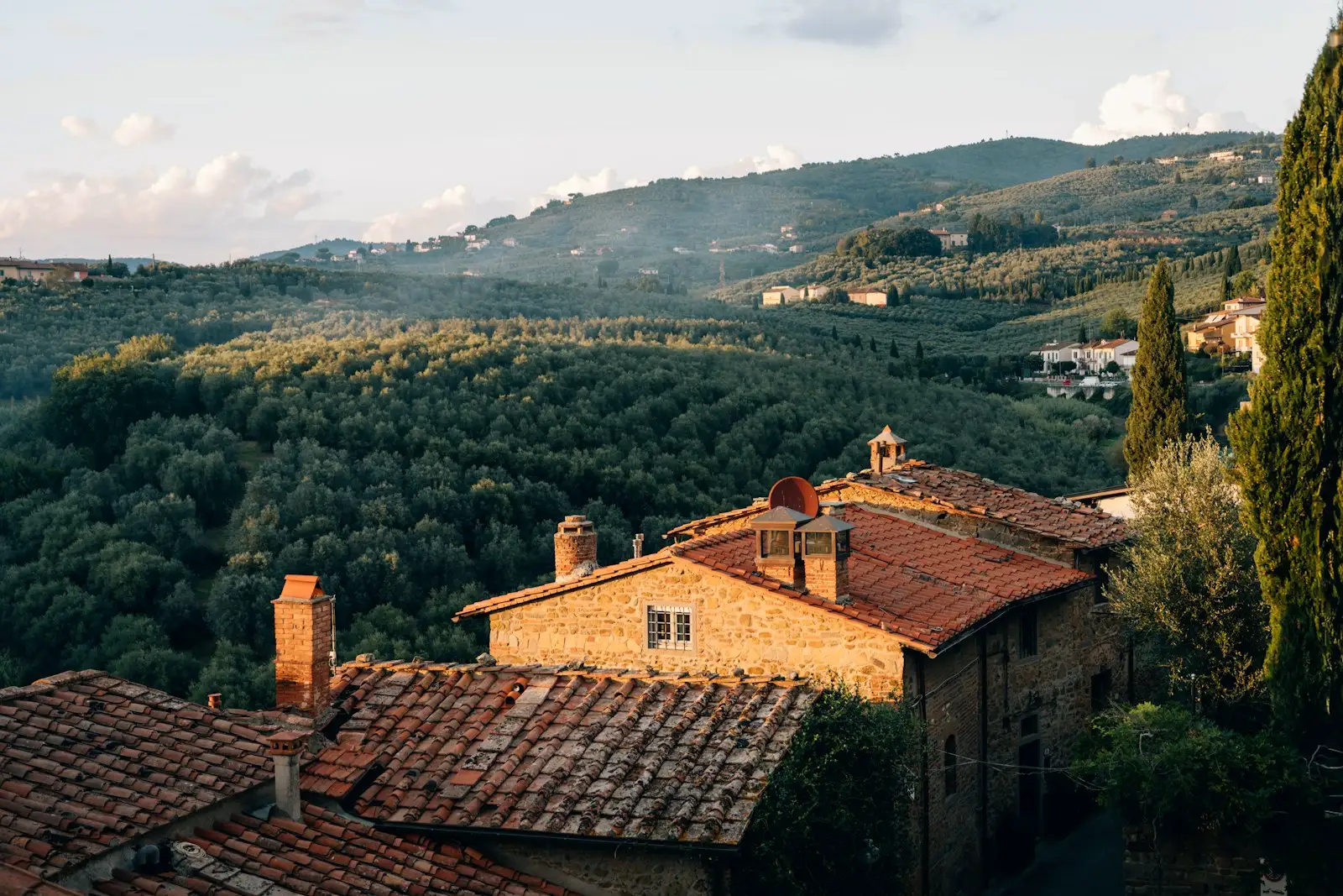 Colline verdi e terreni collinari in Toscana — pulizia terreni Val di Sieve